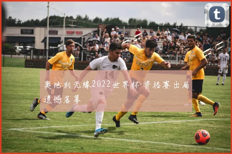 奥地利无缘2022世界杯 资格赛出局遗憾落幕