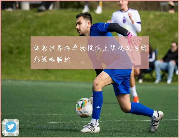 体彩世界杯单场投注上限规定与购彩策略解析