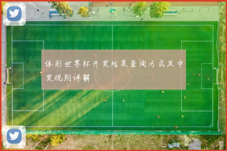 体彩世界杯开奖结果查询方式及中奖规则详解
